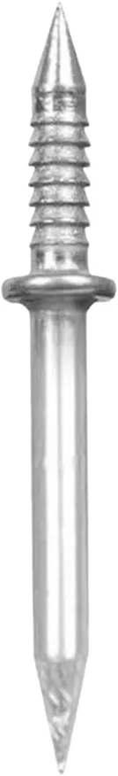 Skirting Screw